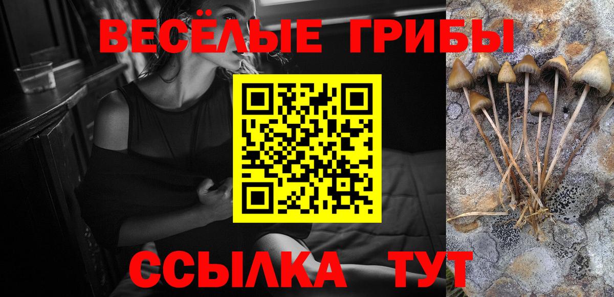 Острогожск  где купить наркотик  Галлюциногенные грибы GOLDEN TEACHER  Вход с VPN  Псилоцибиновые грибы Psilocybine cubensis 