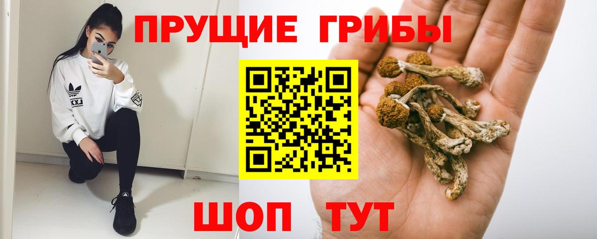 Псилоцибиновые грибы GOLDEN TEACHER Острогожск